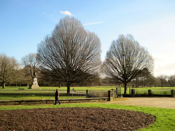 Open lawns and mature trees in Wythenshawe Park, Manchester