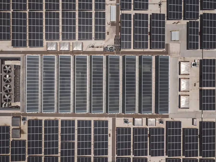 Commercial roof seen from above, almost covered in blocks of solar panels with maintenance walkways left between the rows